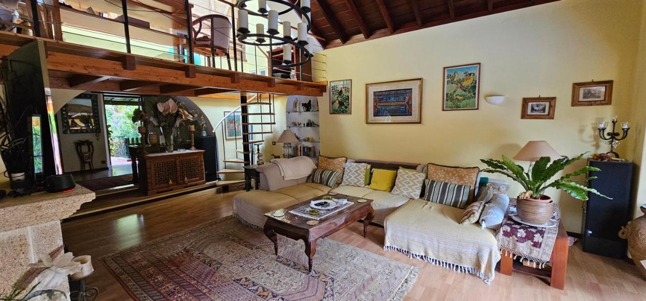 Villa La Paz 2 Пуэрто-де-ла-Крус Экстерьер фото